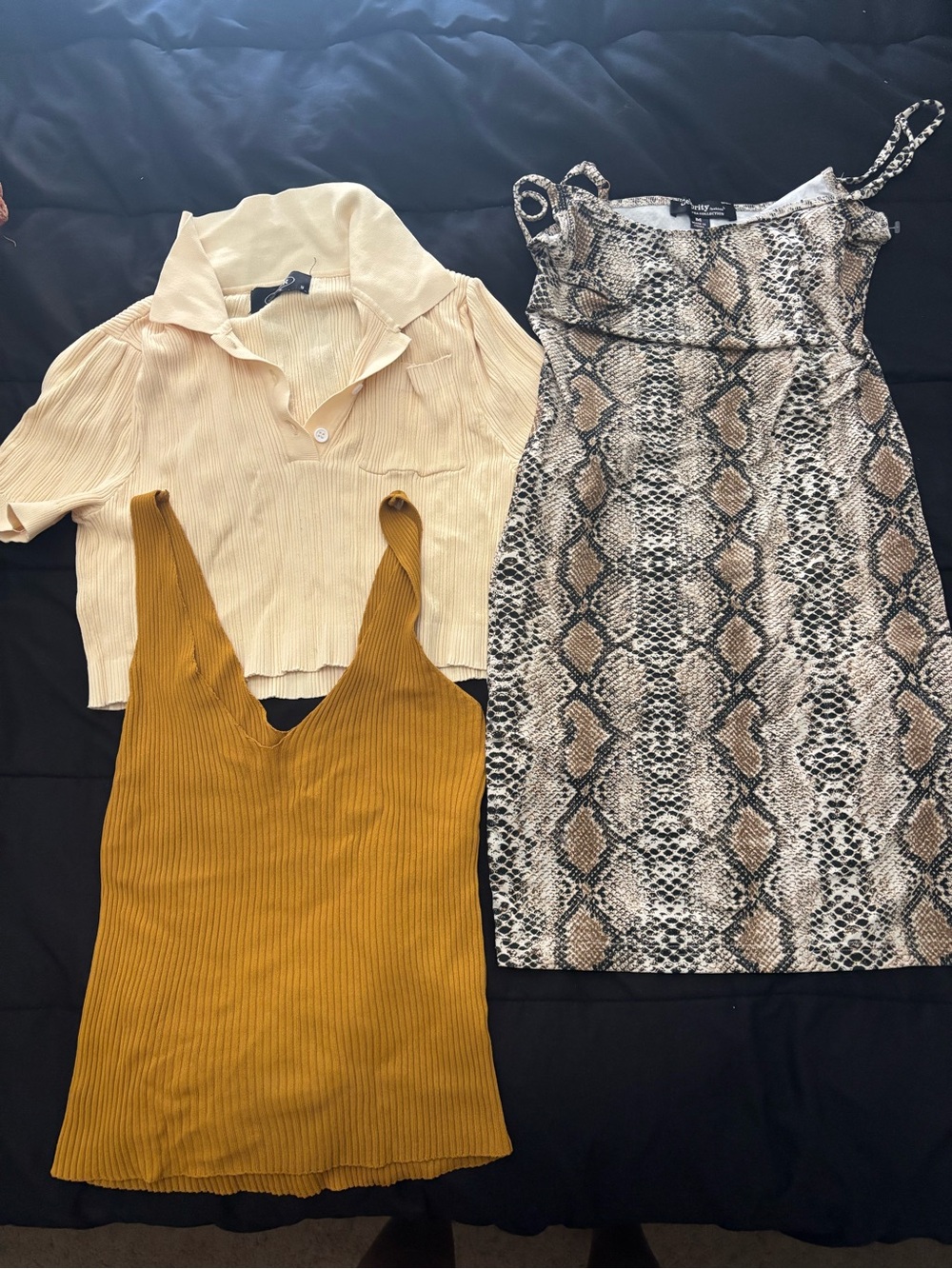 Bundle of a tank top ,crop top and a snakeskin dress from good brands